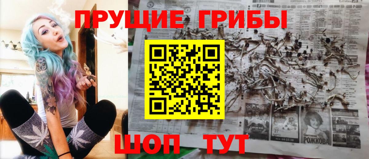 Галлюциногенные грибы Psilocybe Симферополь